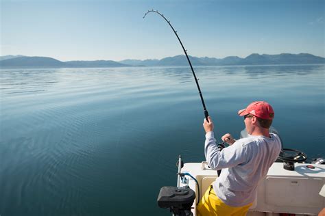 Fishing Day Trips .